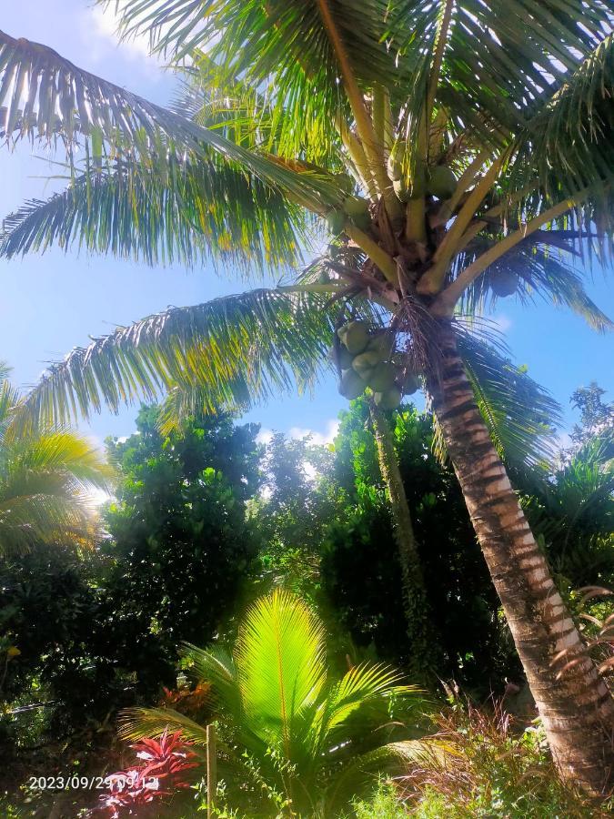 Douceur Des Hauteurs Bas De Villa, Piscine Privee Sainte-Luce Dış mekan fotoğraf